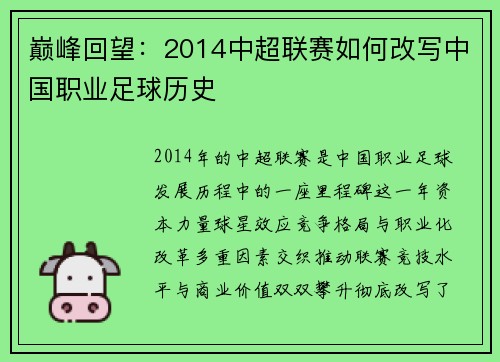 巅峰回望：2014中超联赛如何改写中国职业足球历史